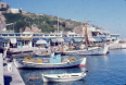 Ραφήνα 1982