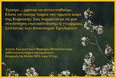 DSC05777_raw2a_SM.jpg