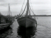 Το λιμάνι της Ραφήνας στα τέλη της δεκαετίας του '50