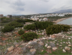 Το Ασκηταριό της Ραφήνας