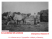 ΓΕΩΡΓΙΚΕΣ 9
