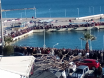 Θεοφάνεια 2019