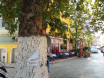 Βρύση στο Cesme Sokak, κοντά στο καφενείο "Κυψέλη"